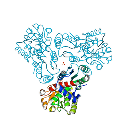 AU of 2g6a by Molmil