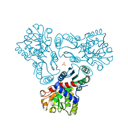 AU of 2g6c by Molmil