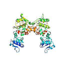 BU of 2g6t by Molmil