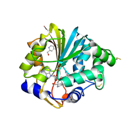 BU of 2g70 by Molmil