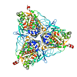 BU of 2gbx by Molmil