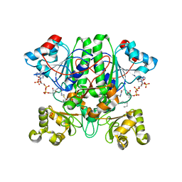 BU of 2gci by Molmil