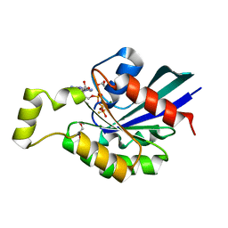 BU of 2gcp by Molmil