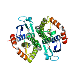 BU of 2gdr by Molmil