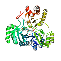 BU of 2gep by Molmil