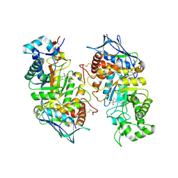 BU of 2gk1 by Molmil