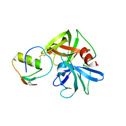 BU of 2gkv by Molmil