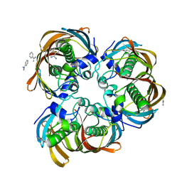 BU of 2gll by Molmil