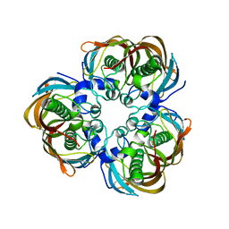 BU of 2glv by Molmil