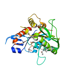 BU of 2gm1 by Molmil