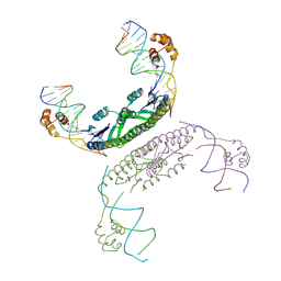 BU of 2gm4 by Molmil