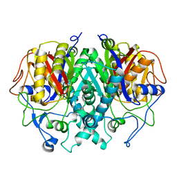 BU of 2gp6 by Molmil