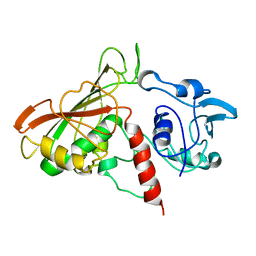 AU of 2gpd by Molmil