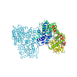 BU of 2gpn by Molmil