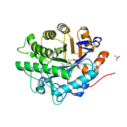 BU of 2gqa by Molmil