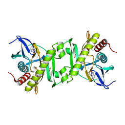 BU of 2gqs by Molmil