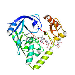 BU of 2gqu by Molmil