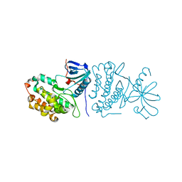 BU of 2gs2 by Molmil