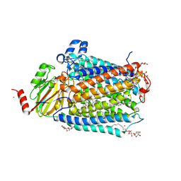 BU of 2gsm by Molmil