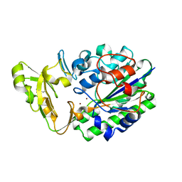 BU of 2gsn by Molmil