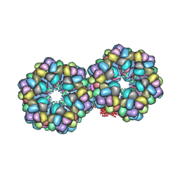 BU of 2gtl by Molmil