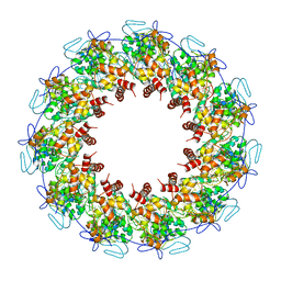 BU of 2gtt by Molmil