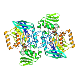 BU of 2gv8 by Molmil