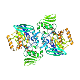 BU of 2gvc by Molmil