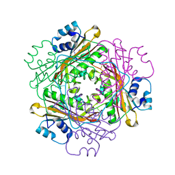 AU of 2gzt by Molmil