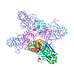 BU of 2h6b by Molmil