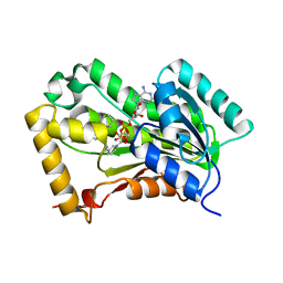 AU of 2h7l by Molmil