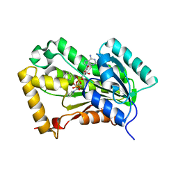 AU of 2h7m by Molmil