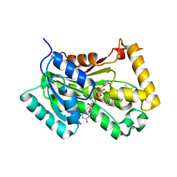 AU of 2h7p by Molmil