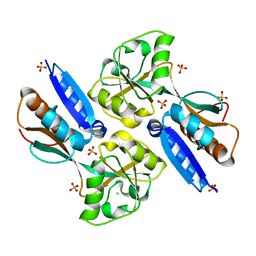 BU of 2h9b by Molmil