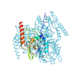 BU of 2hb9 by Molmil