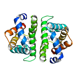 AU of 2hbi by Molmil