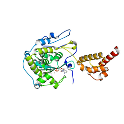 BU of 2hbl by Molmil