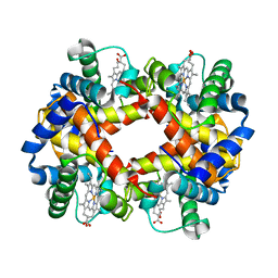 BU of 2hbs by Molmil