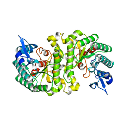 BU of 2hbv by Molmil