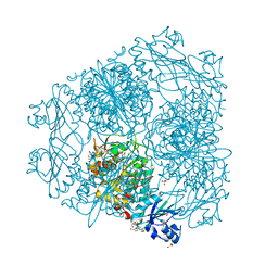 BU of 2hc9 by Molmil