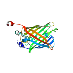 BU of 2hcg by Molmil