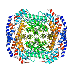 BU of 2hcv by Molmil