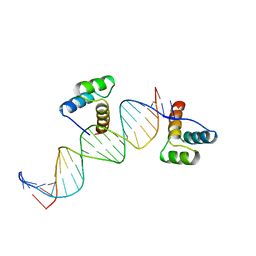 BU of 2hdd by Molmil