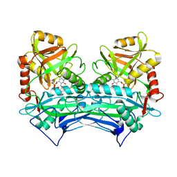 BU of 2hdk by Molmil