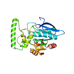 BU of 2hdw by Molmil