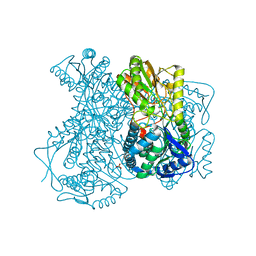 BU of 2hg2 by Molmil