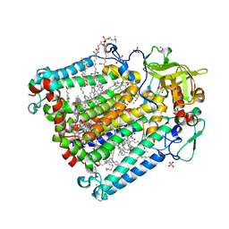 BU of 2hg9 by Molmil