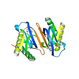 BU of 2hl1 by Molmil