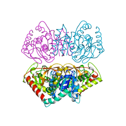 BU of 2hlp by Molmil