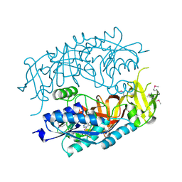 BU of 2hma by Molmil